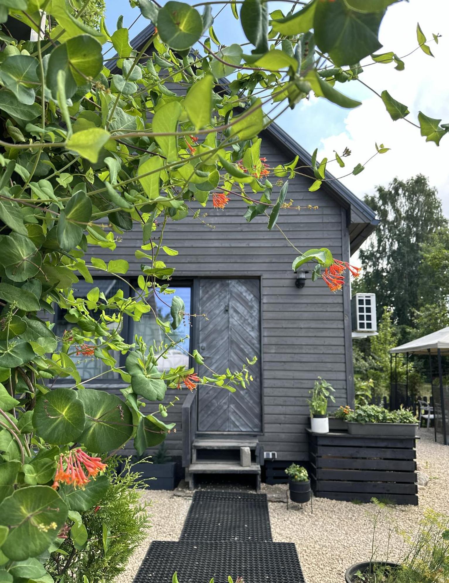 Amazing Little House On An Island With Garden Villa Riga Luaran gambar